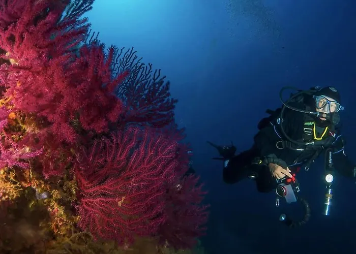 Lägenhet Porto Azzuro 6 Beds